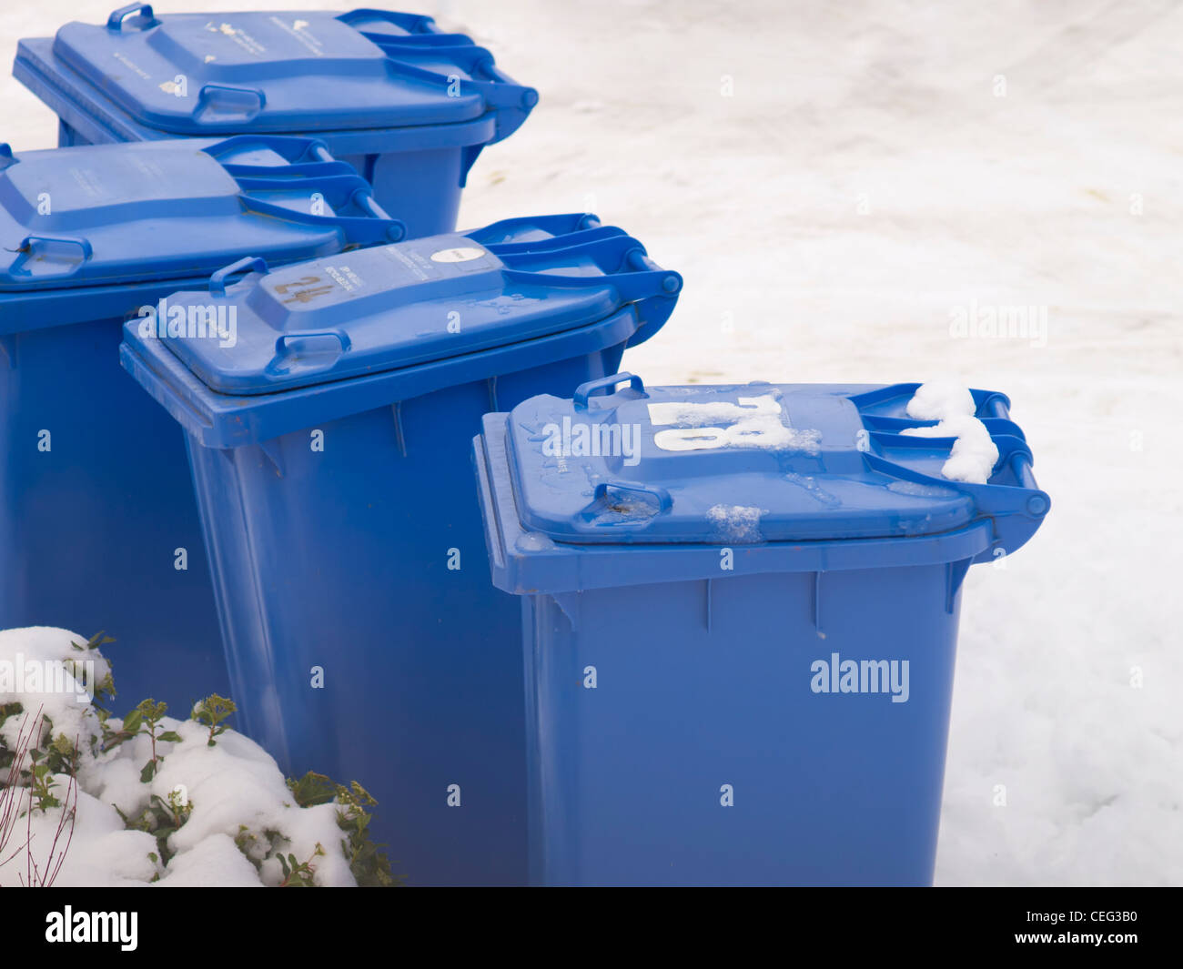 Die Spitzen der vier blauen Wheelie-Behälter im Schnee Stockfoto