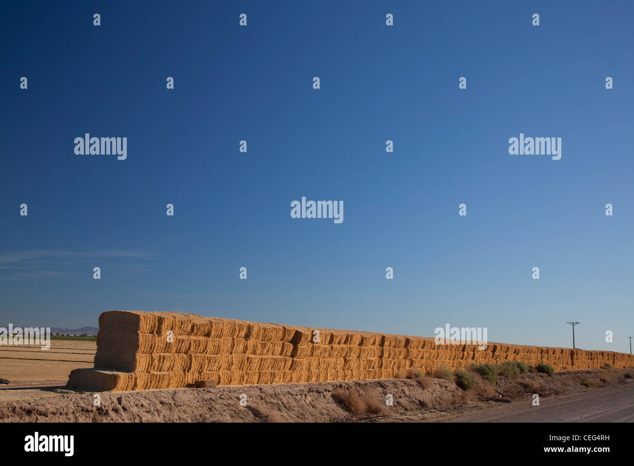 Brawley, Kalifornien - ein Stapel von Heu im Imperial Valley angebaut. Stockfoto