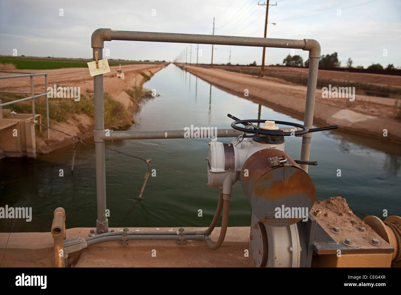 Calexico, Kalifornien - ein Zweig der All-American Canal bringt Wasser vom Colorado River, der Imperial Valley zu bewässern. Stockfoto