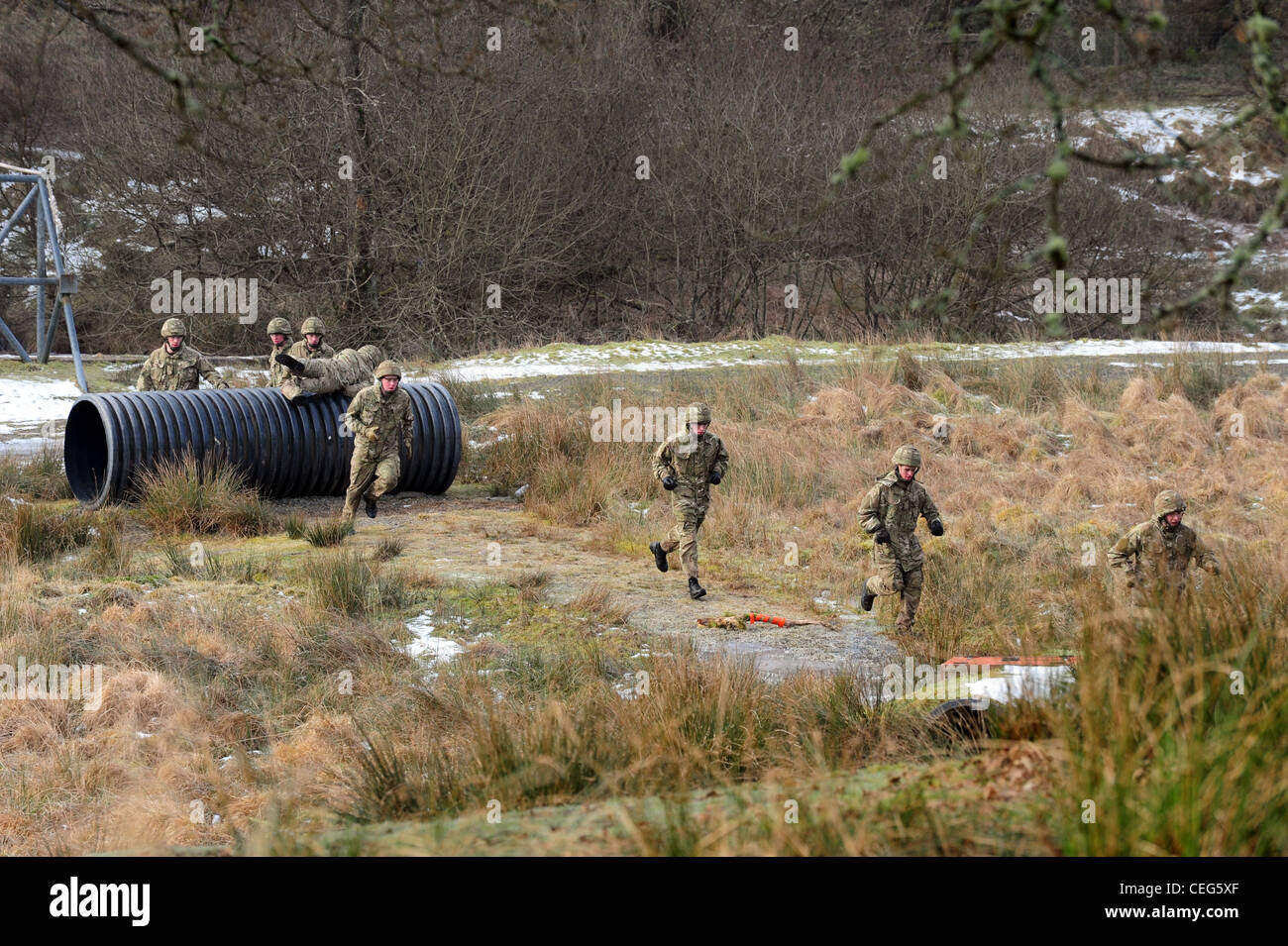 Mitglieder von The Prince Of Wales' Company, 1. Bataillon Welsh Guards, gehen über die Hindernisbahn Februar 2012 bei Sennybridg Stockfoto