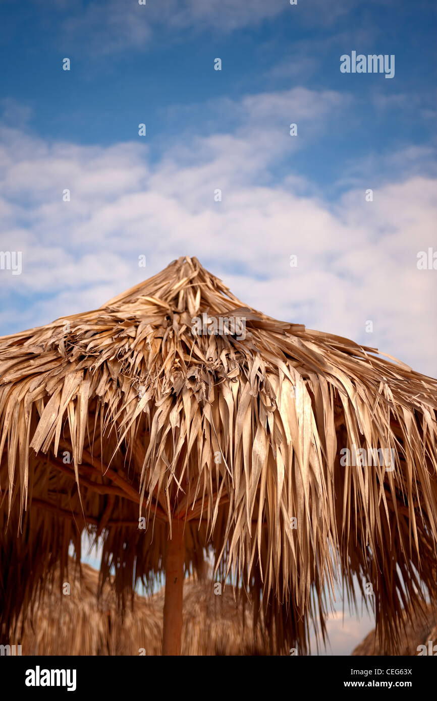Palm Beach Hütte an einem sonnigen Tag Stockfoto