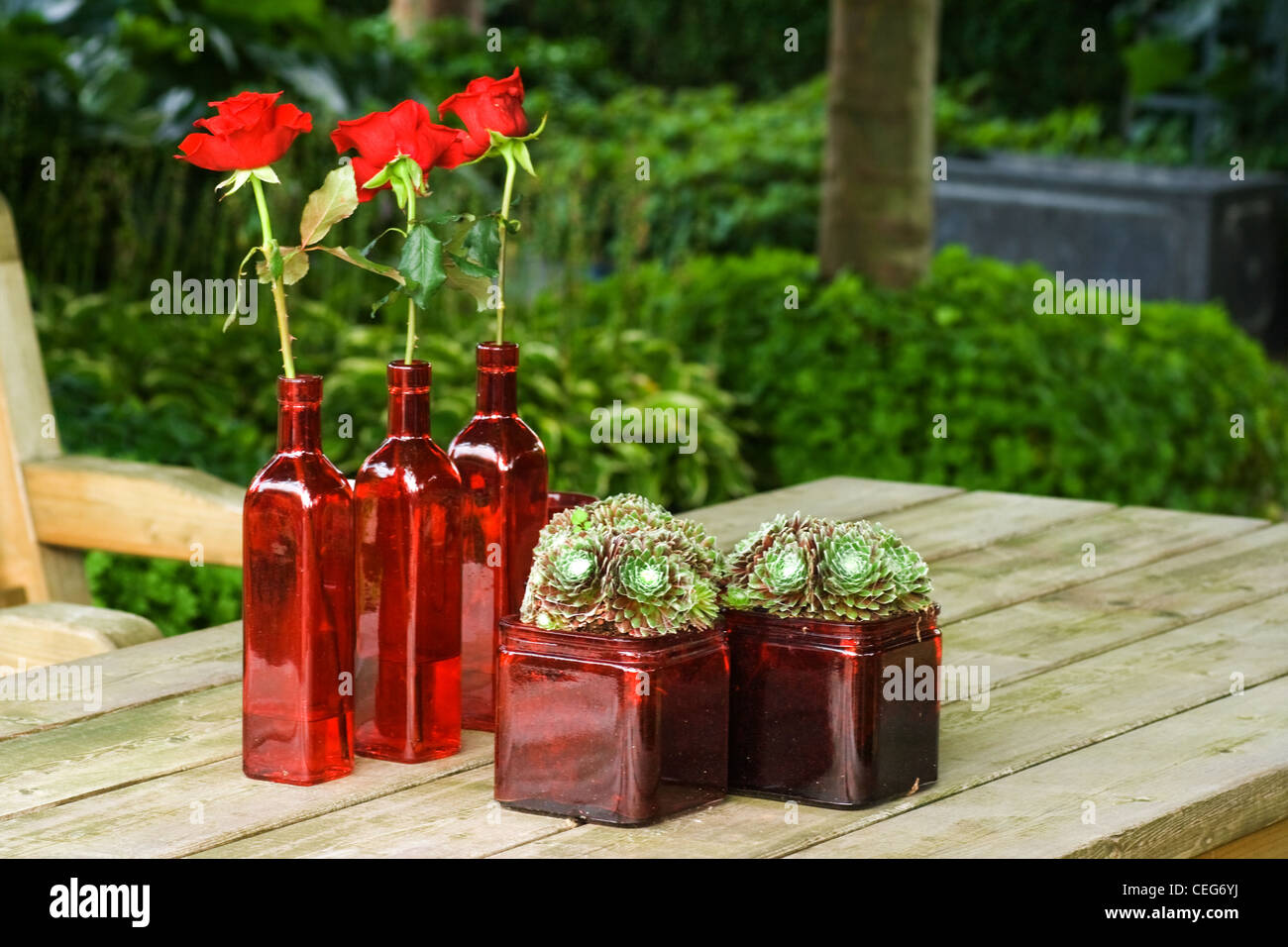 Tische im Garten mit Stillleben, Rotes Glas, Sempervivum Pflanzen und Rosen Stockfoto