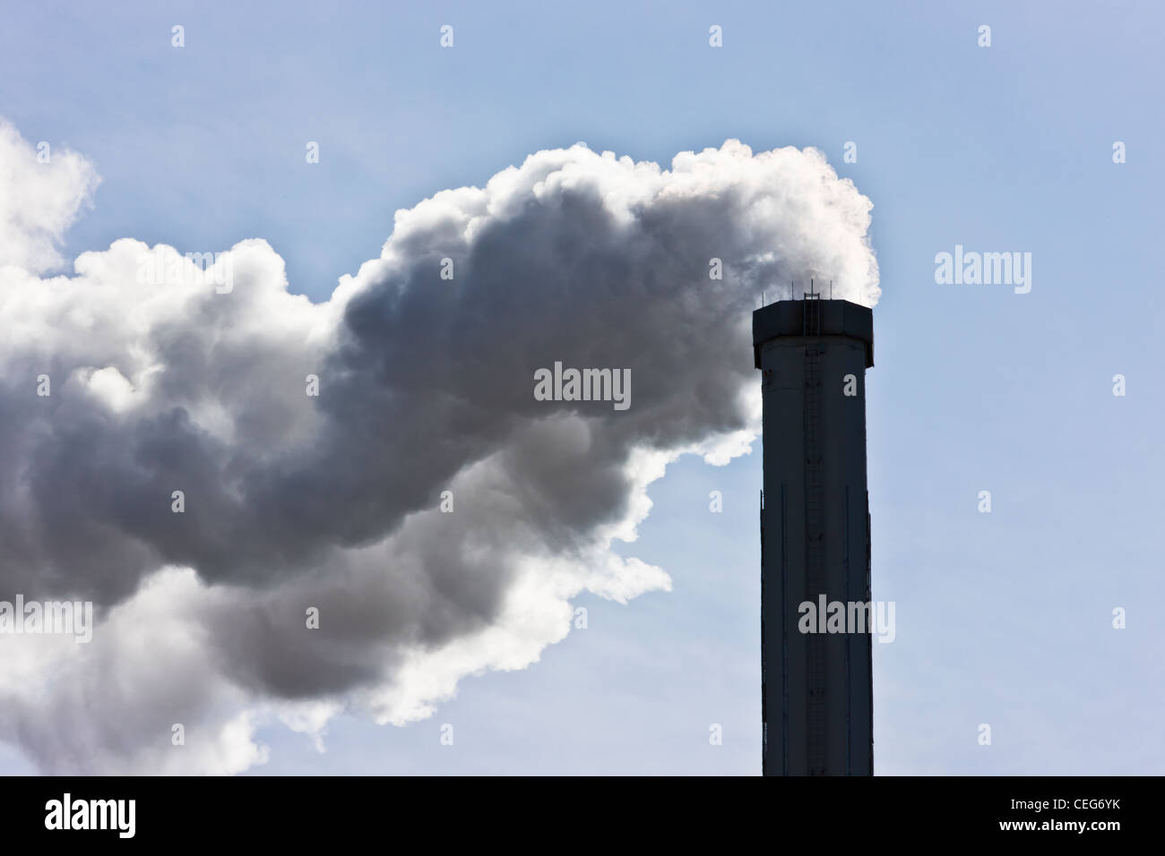 Schornstein Ausschank Rauch, Toronto, Kanada Stockfoto