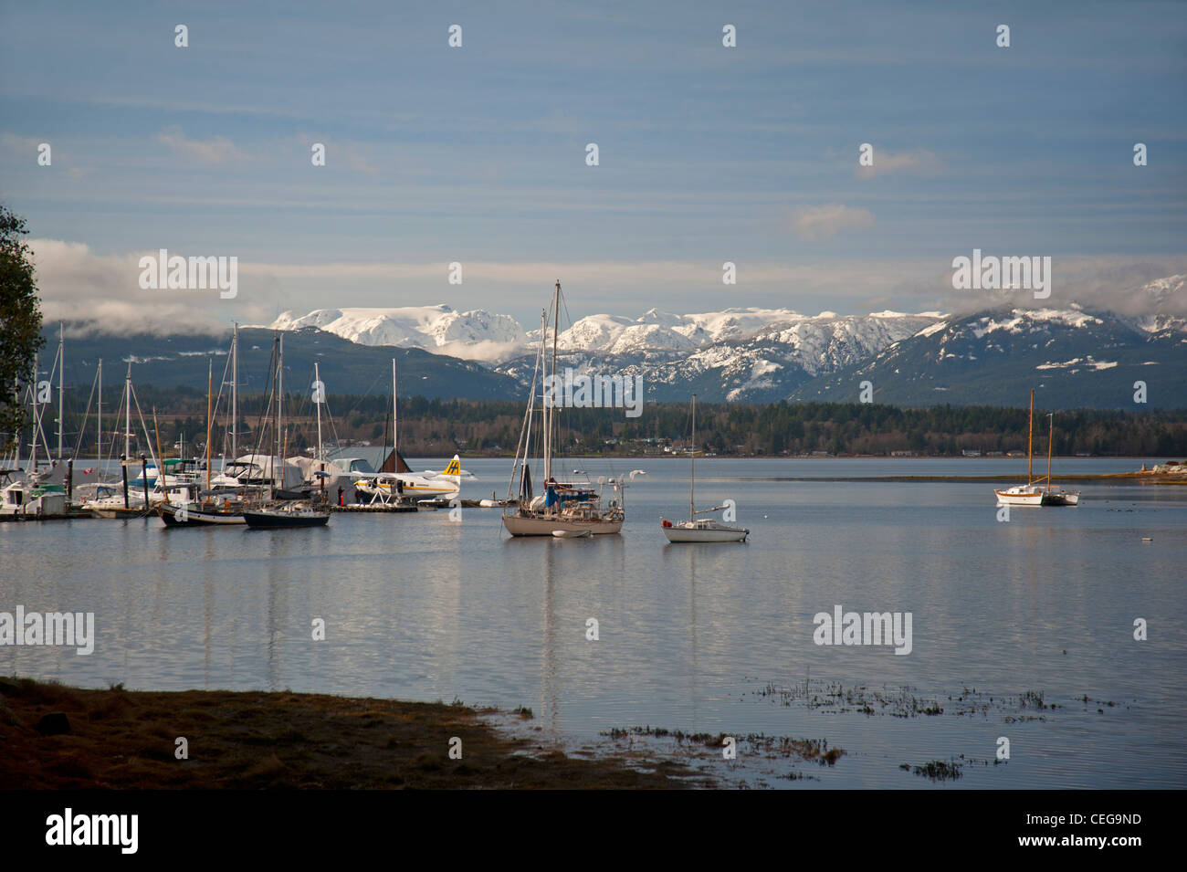 Comox harbour Yacht-Liegeplätze und Schwimmer Flugzeug Liegeplatz, Vancouver Island in British Columbia Kanada.   SCO 7976 Stockfoto