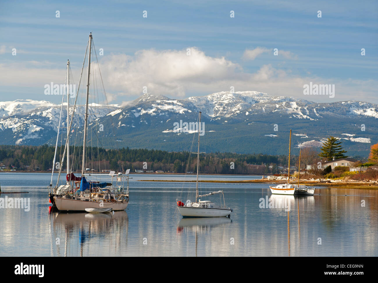 Comox harbour Yacht-Liegeplätze und Schwimmer Flugzeug Liegeplatz, Vancouver Island in British Columbia Kanada.   SCO 7977 Stockfoto