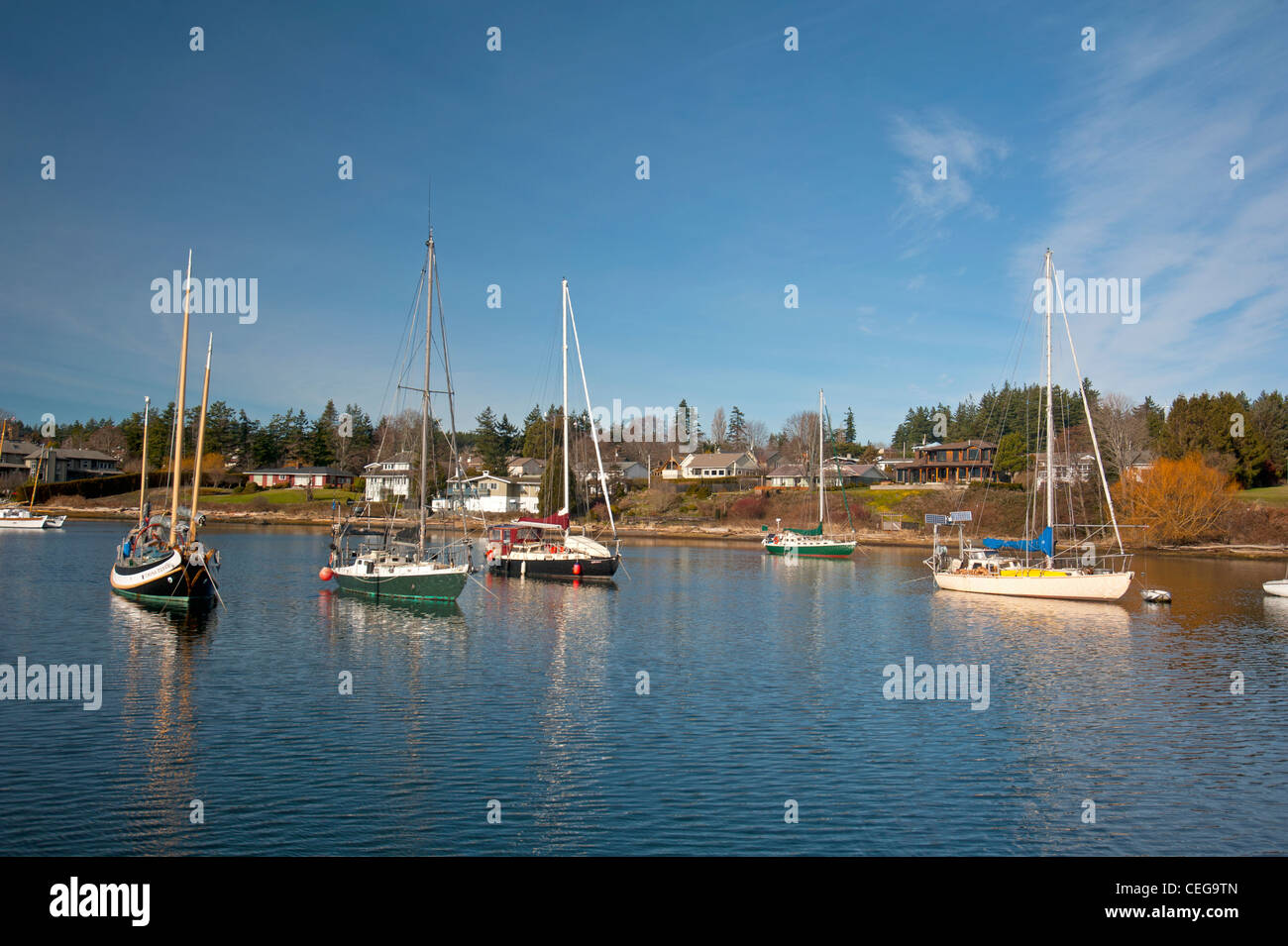Comox harbour Yacht-Liegeplätze und Schwimmer Flugzeug Liegeplatz, Vancouver Island in British Columbia Kanada.   SCO 7981 Stockfoto