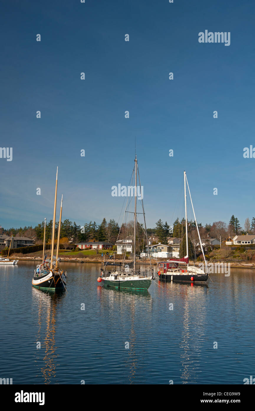 Comox harbour Yacht-Liegeplätze und Schwimmer Flugzeug Liegeplatz, Vancouver Island in British Columbia Kanada.   SCO 7982 Stockfoto