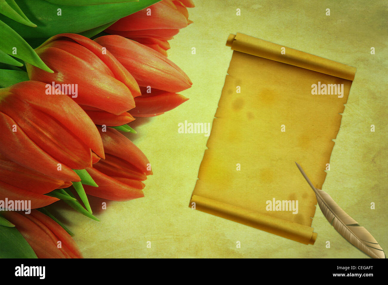 Hintergrund zu machen von einem Tulip Bouquet mit einem alten Blatt Papier und eine Feder Feder im Vintage-Stil Stockfoto