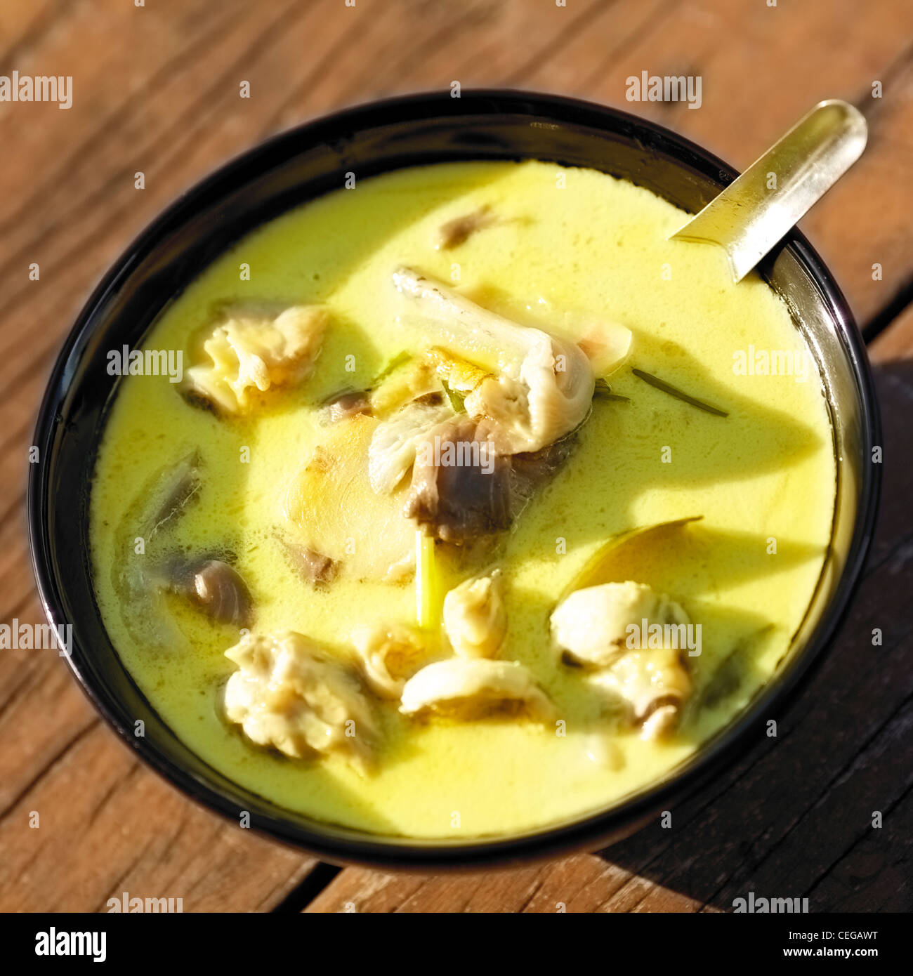 Tom Kha Gai - traditionelle thai-Suppe mit Huhn und Kokosmilch. Sehr geringe Schärfentiefe. Quadratische Komposition. Stockfoto