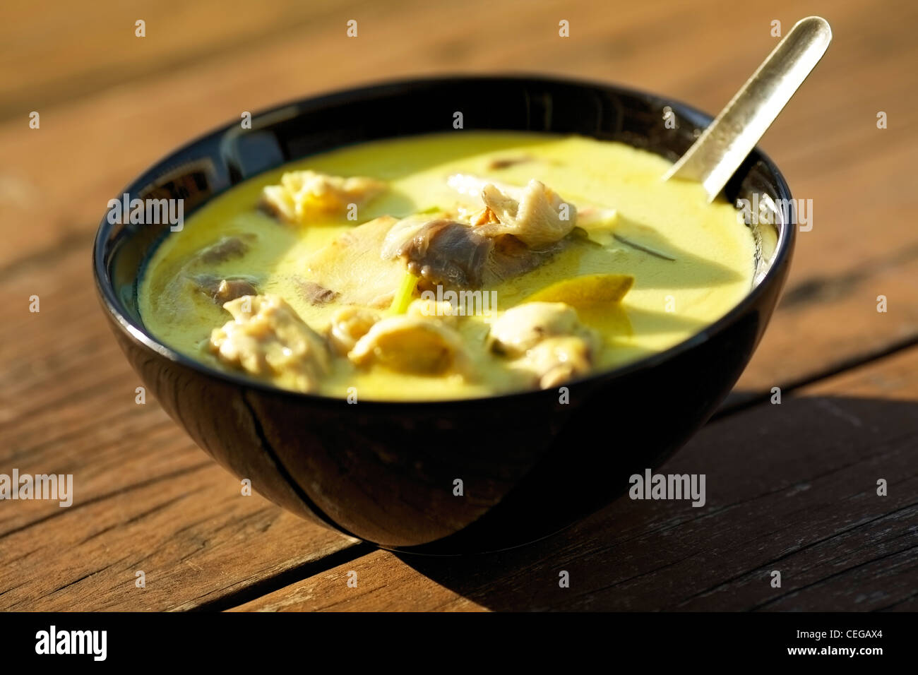 Tom Kha Gai - traditionelle thai-Suppe mit Huhn und Kokosmilch. Sehr geringe Schärfentiefe. Stockfoto