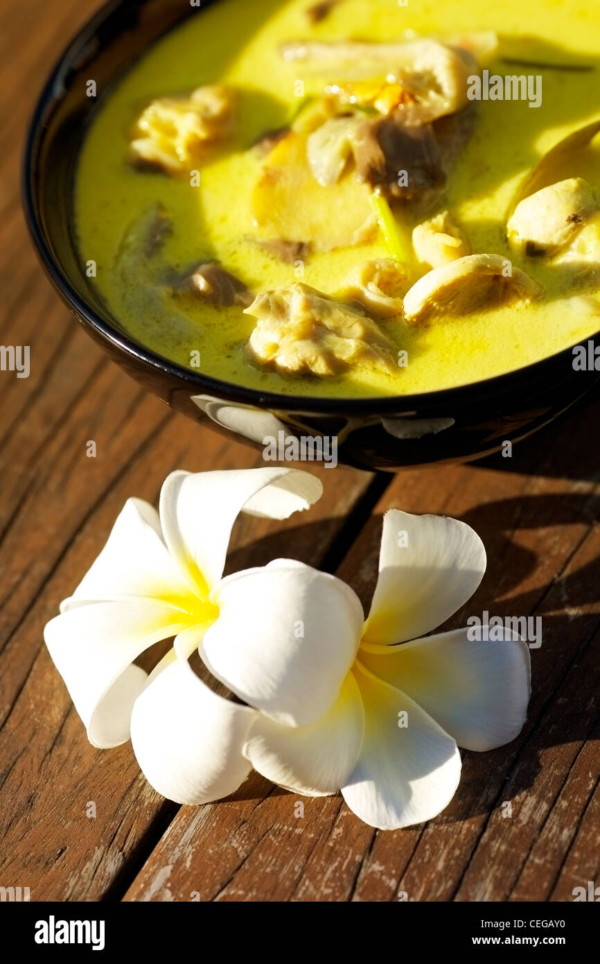 Tom Kha Gai - traditionelle thai-Suppe mit Huhn und Kokosmilch. Sehr geringe Schärfentiefe. Vertikale erschossen. Stockfoto