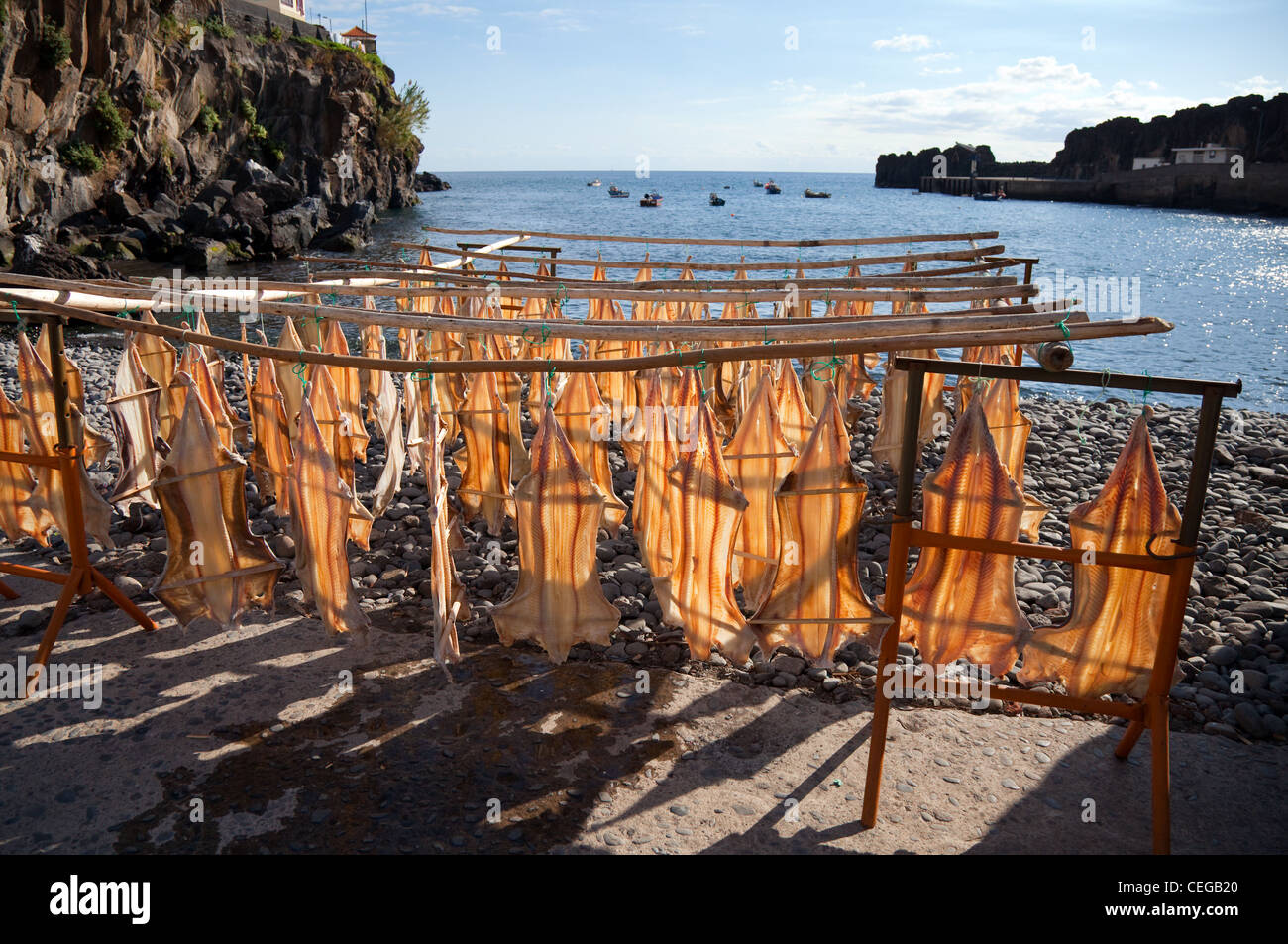 Luftgetrockneter Bacalhau-Kabeljau, außen, Fischerei, Lebensmittel, trocken, Meer, traditionell. Gesalzener Fisch, der in der Sonne im Dorf Câmara De Lobos, Madeira, Portugal, trocknet Stockfoto