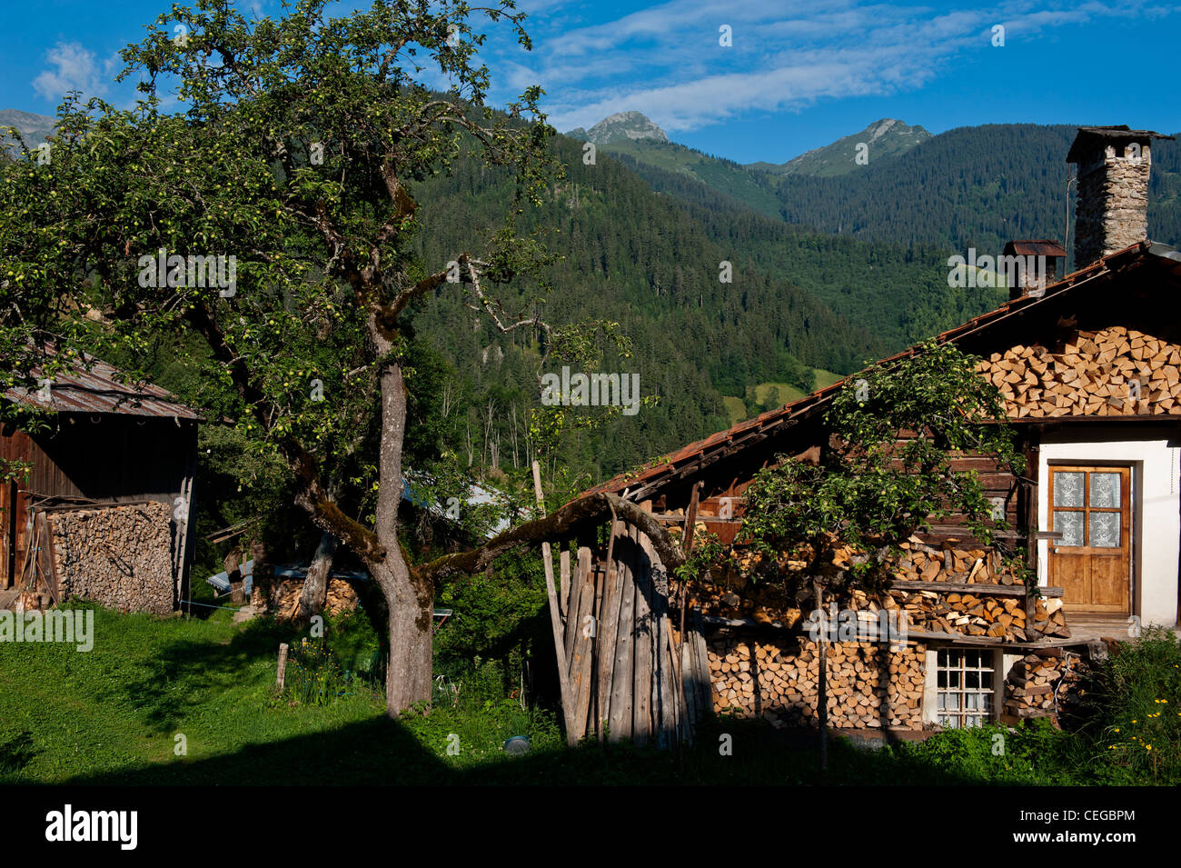 Chalets aus Holz Häuser in Arêches Dorf, Beaufortain Tal. Rhone Alpen Frankreich Stockfoto