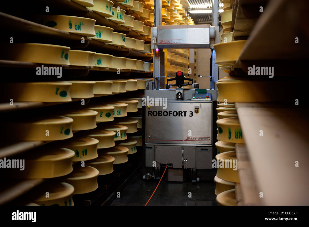 Drehen den Käse in der Beaufortain Genossenschaft Molkerei in Beaufort. Savoie, Frankreich Stockfoto