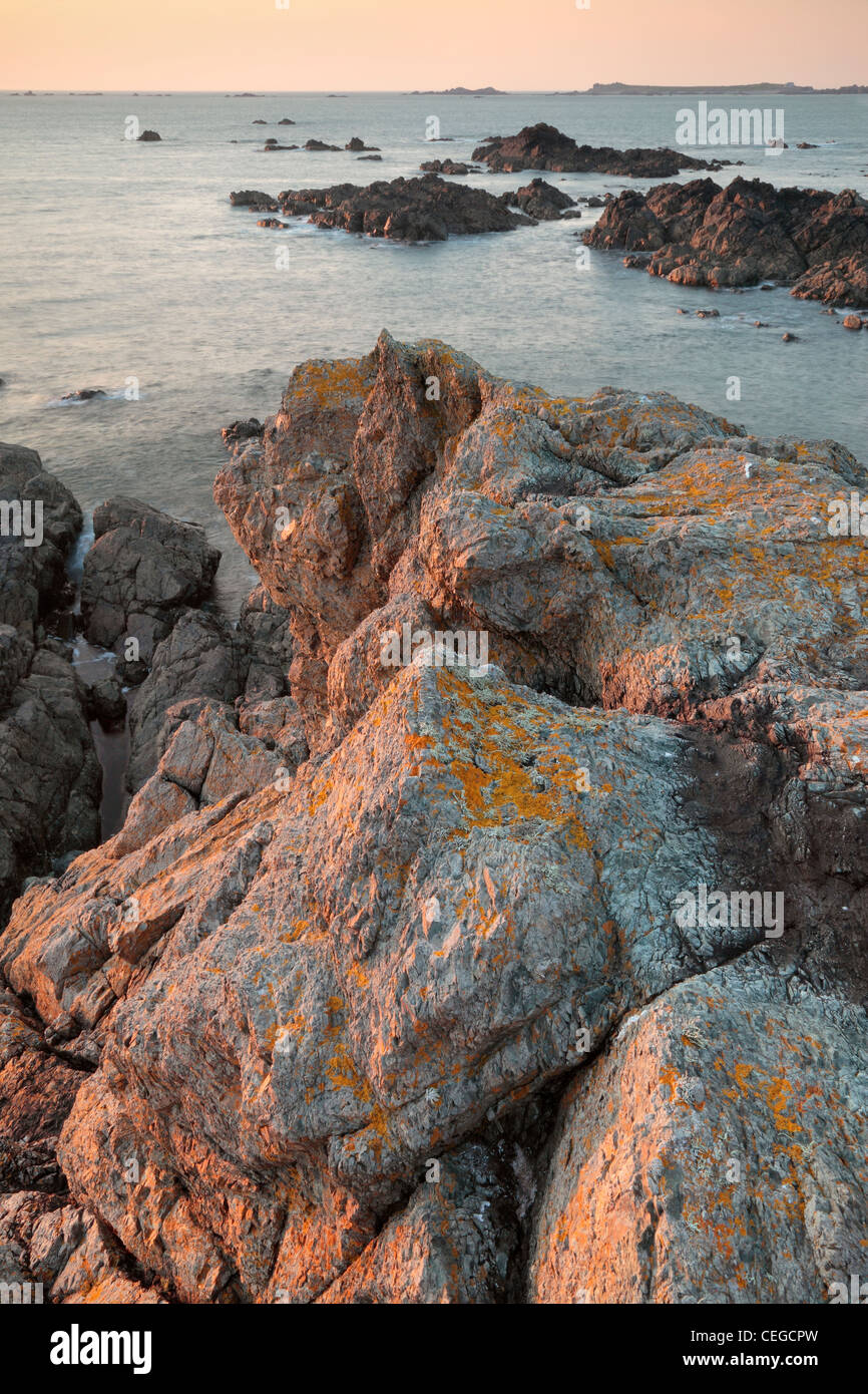 Warmen Abendlicht Modelle die Flechten-verkrusteten Felsen der Pleinmont Punkt auf Guernsey Stockfoto