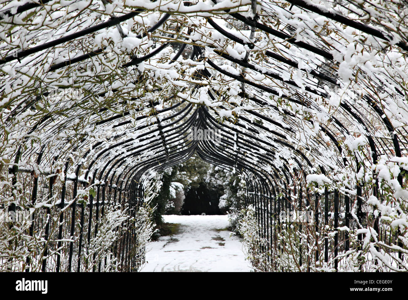 Nonsuch Park, stieg Pergola, Cheam, Surrey, England Stockfoto