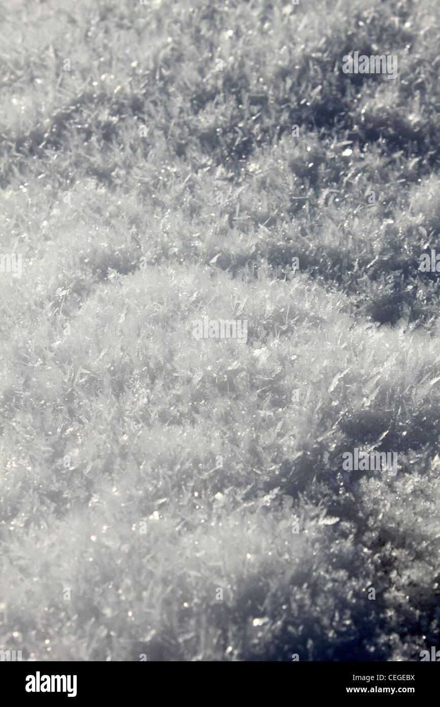 Nahaufnahme von Schnee auf Epsom Downs Surrey England UK Stockfoto