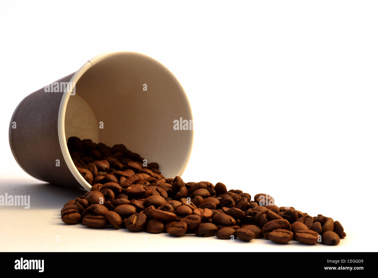 Kunststoff Kaffeetasse mit braunen Etikett und weißen Deckel - Cup s Seite mit Kaffee Bohnen verschütten Handauflegen zum mitnehmen Stockfoto