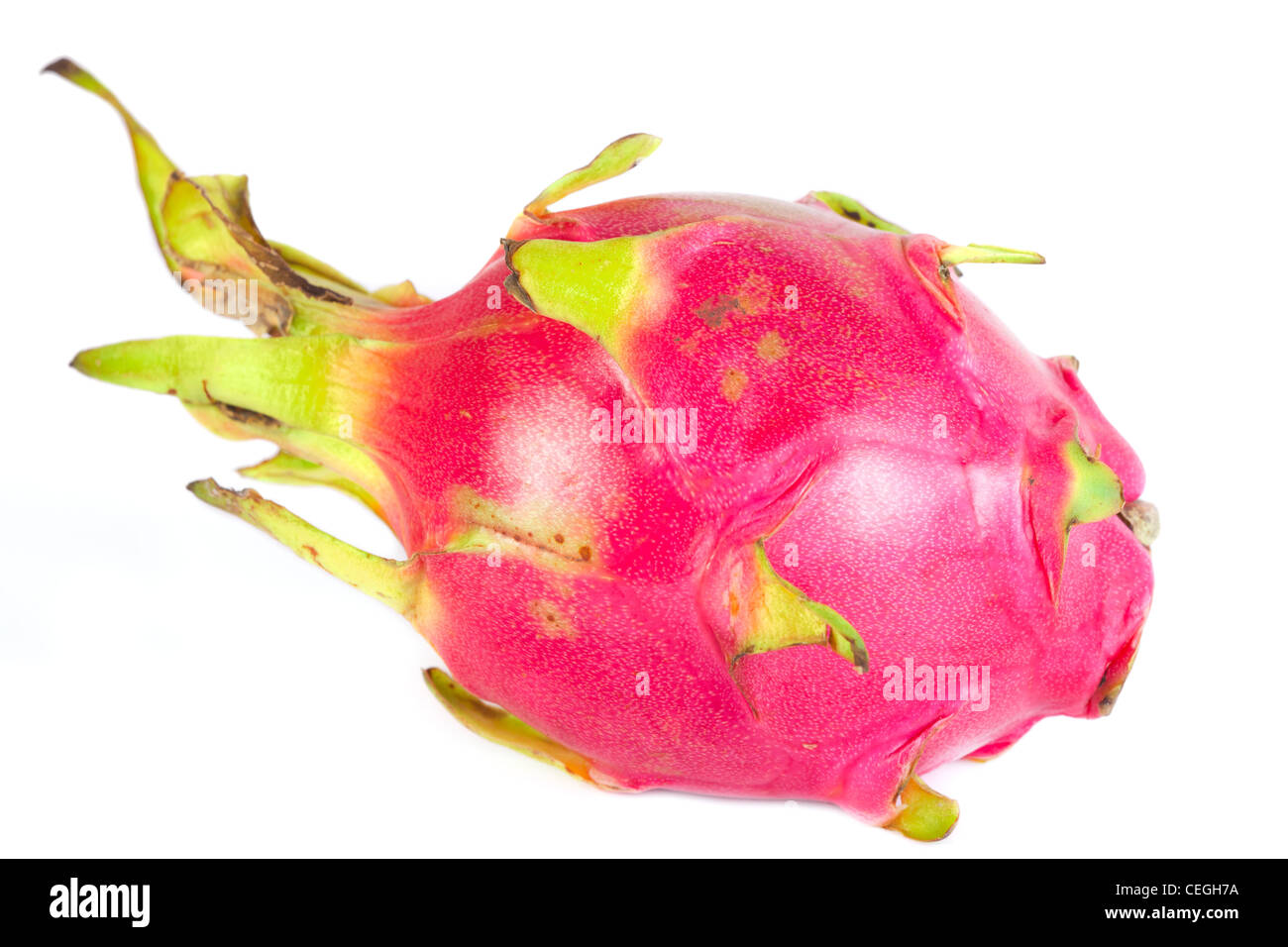 Pitaya Drachenfrucht isoliert auf weißem Hintergrund Stockfoto