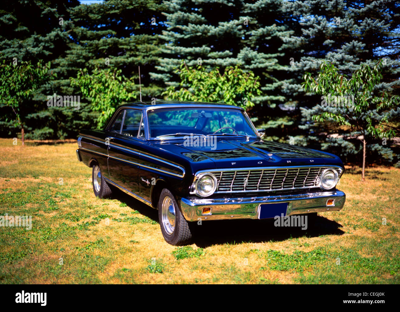 1964 Ford Falcon Sprint Stockfoto