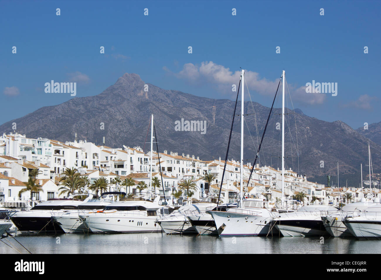 Luxus-Yachten vertäut am El Puerto José Banús, Marbella, Costa Del Sol, Andalusien, Spanien Stockfoto