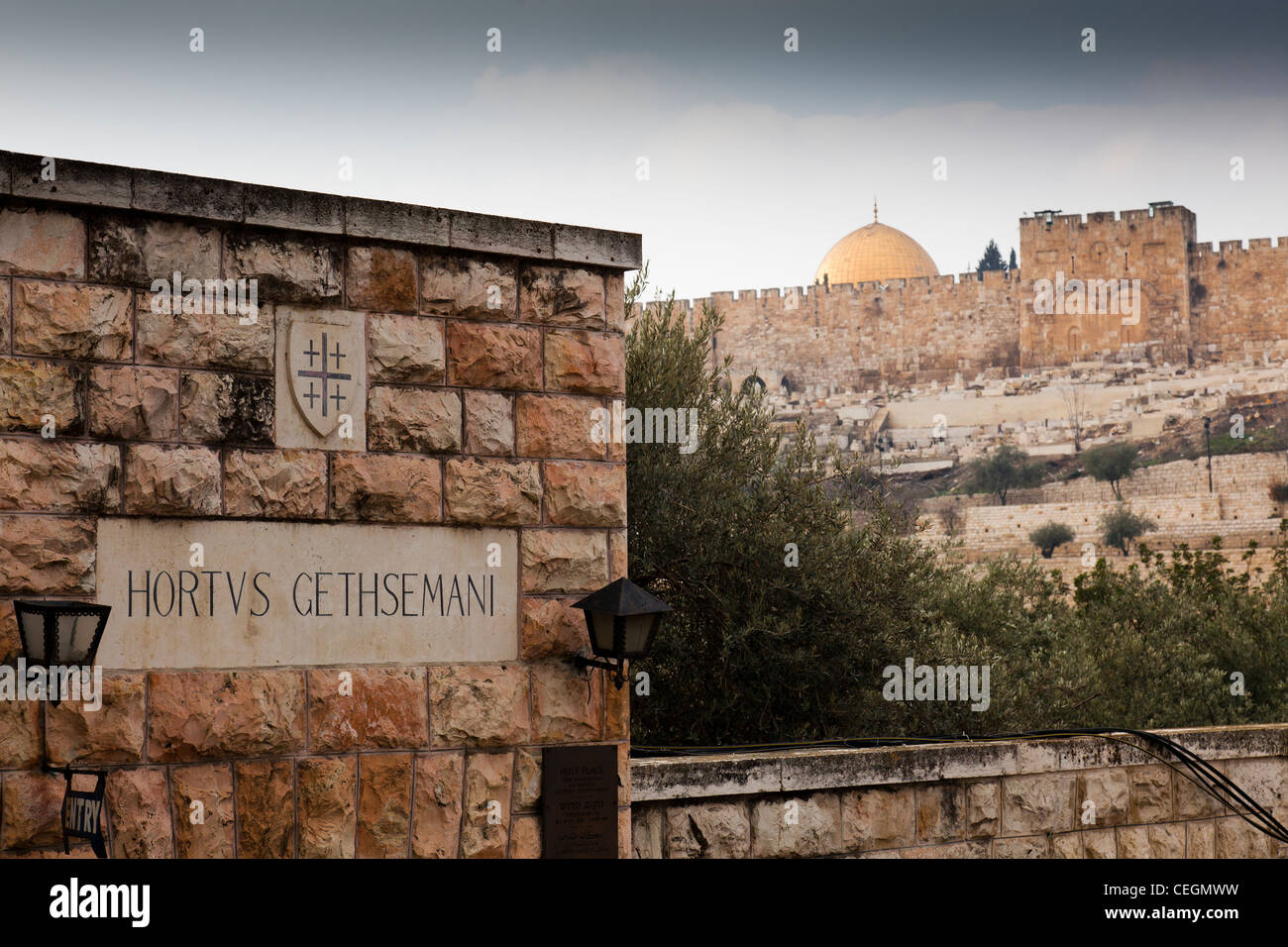 Der Garten von Gethsemane in Jerusalem Stockfotografie Alamy