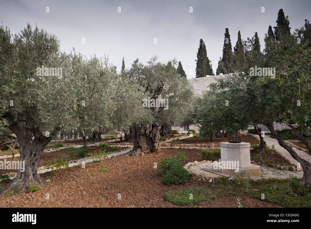 33+ Garten Von Gethsemane, »setzt euch hier hin und wartet auf mich!