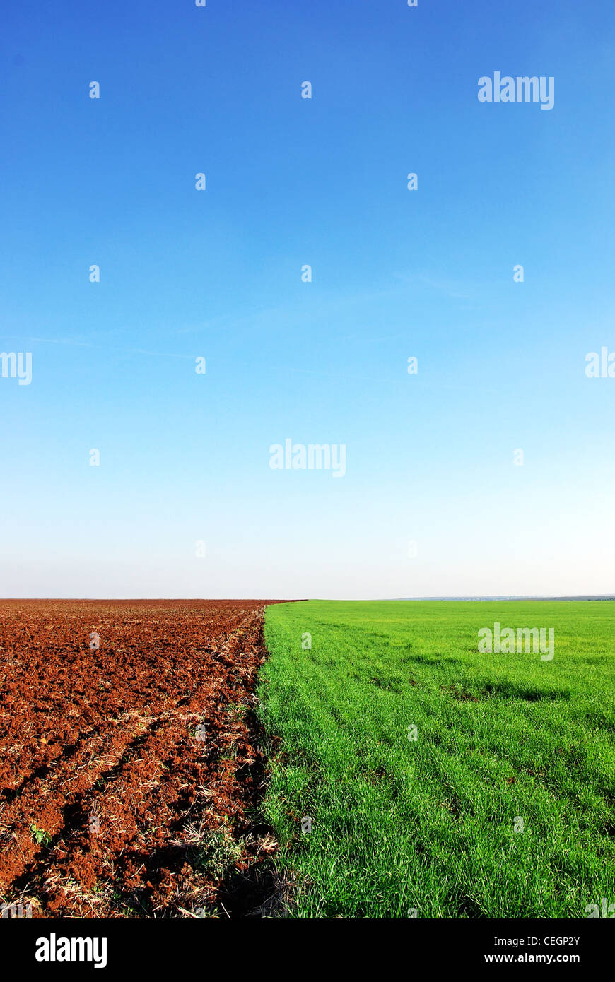 Gepflügtes und grünen Feld Hintergrund Stockfoto