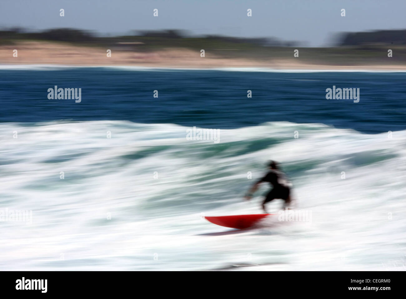 Welle auf roten Surfbrett Surfer. Panorama Bild zeigt Bewegung der Surfer auf Surfbrett im Meer. Stockfoto