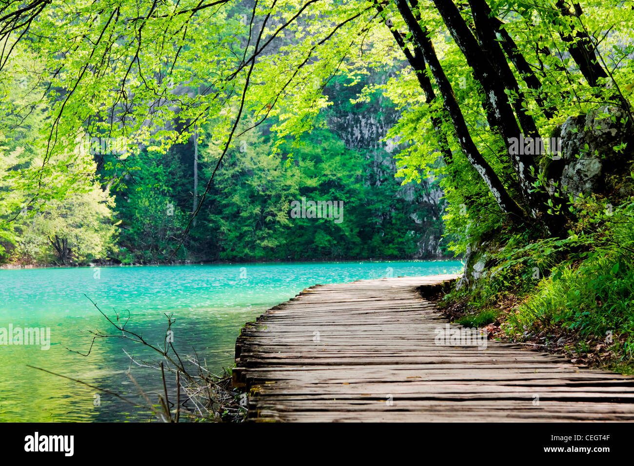 Holzweg in der Nähe von einem Waldsee Stockfoto