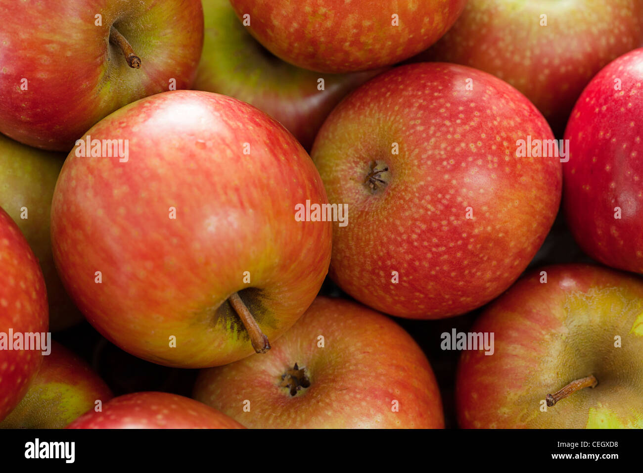 Rote Äpfel Stockfoto