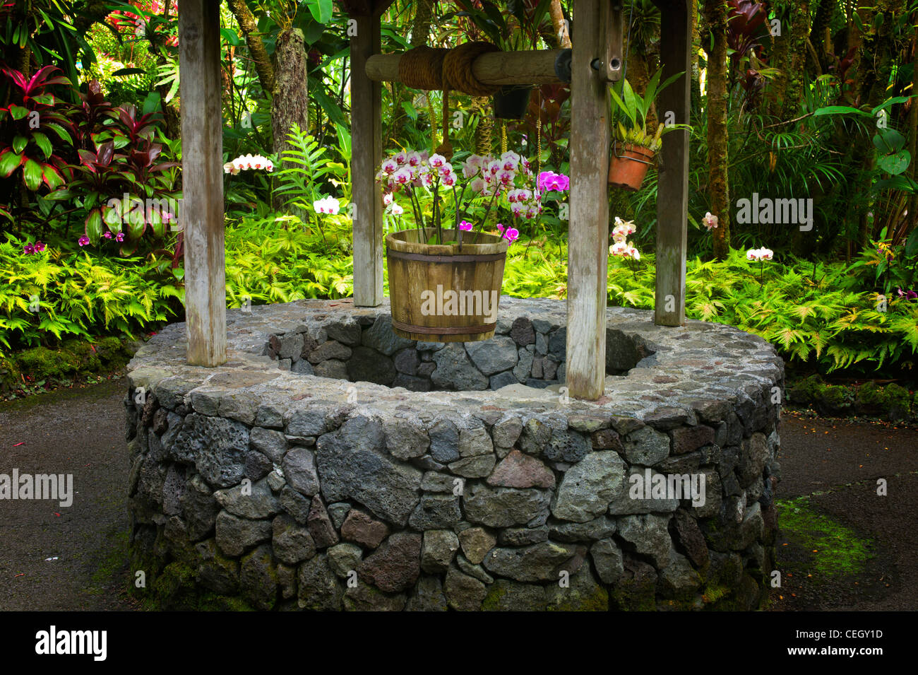 Wunschbrunnen. Hawaii Tropical Botanical Gardens. Hawaii, Big Island. Stockfoto