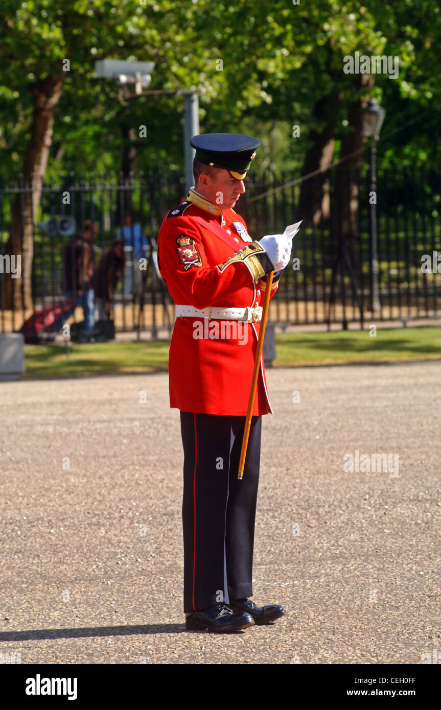 He amtlicher Geburtstag der Königin Elizabeth II ist eine Militärparade und Bühnenschau, bekannt als Trooping die Farbe jedes Jahr geprägt Stockfoto
