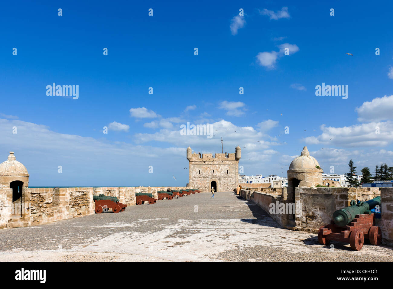 Kanone an den Wänden der Skala du Port, Essaouira, Marokko, Nordafrika Stockfoto