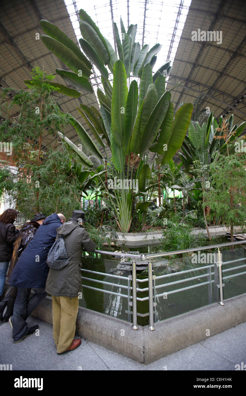 Bahnhof Atocha Renfe, Madrid, Spanien Stockfoto