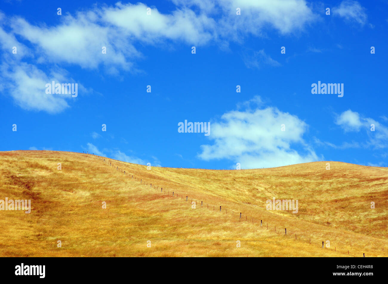 Strohhalme und blauer Himmel Stockfoto