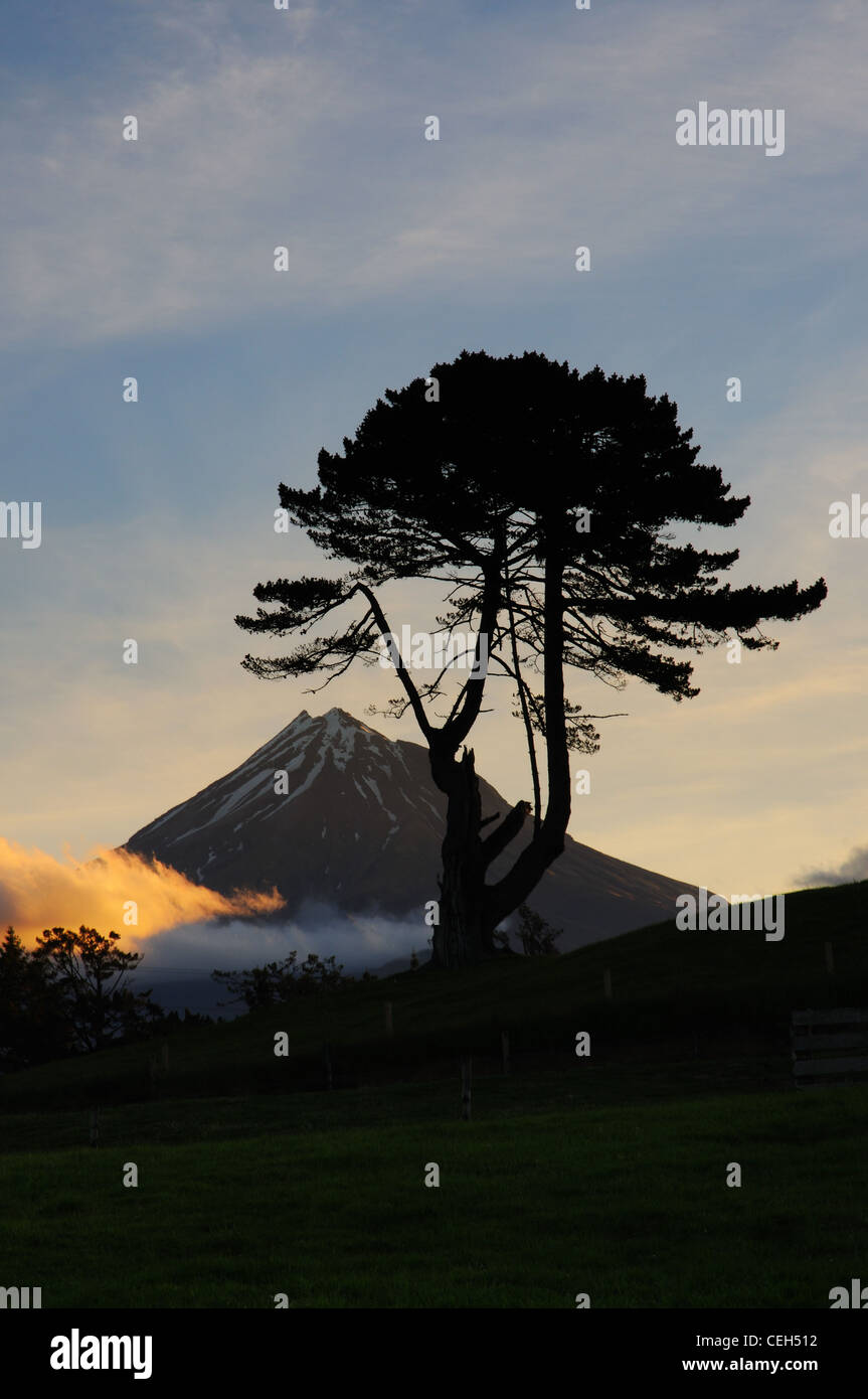 Mount Egmont (Taranaki) in Neuseeland bei Sonnenuntergang Stockfoto