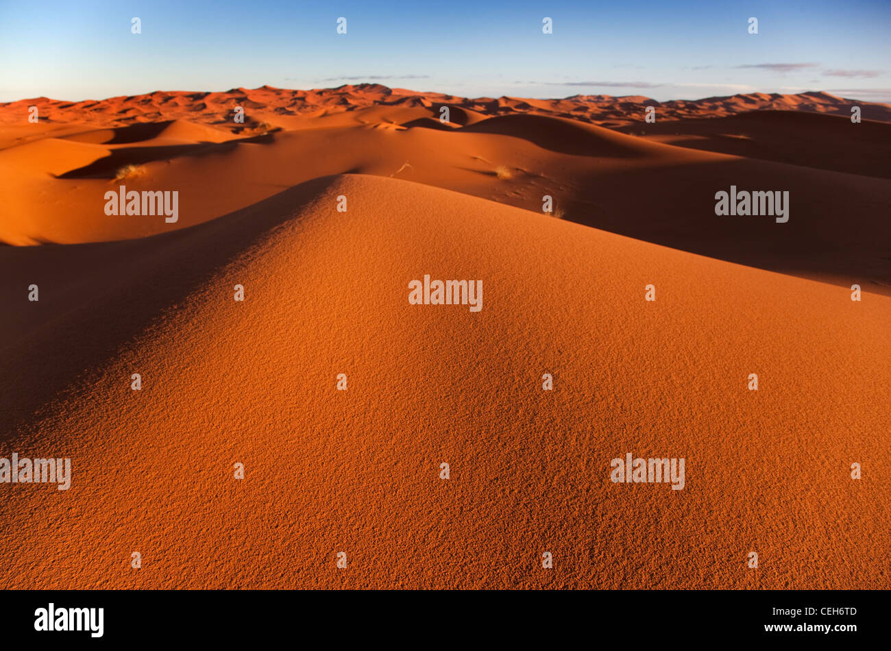 Erg Chebbi Sanddünen entfernt am Rande der Sahara Wüste in Marokko Nordafrika im Morgengrauen Anfang März Stockfoto