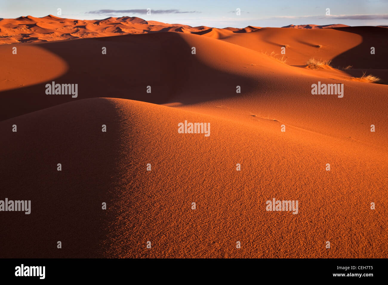 Erg Chebbi Sanddünen entfernt am Rande der Sahara Wüste in Marokko Nordafrika im Morgengrauen Anfang März Stockfoto