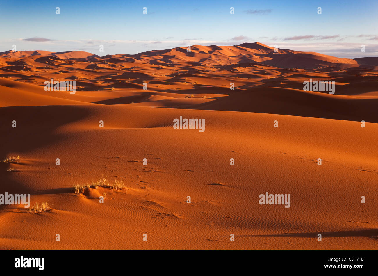 Erg Chebbi Sanddünen entfernt am Rande der Sahara Wüste in Marokko Nordafrika im Morgengrauen Anfang März Stockfoto