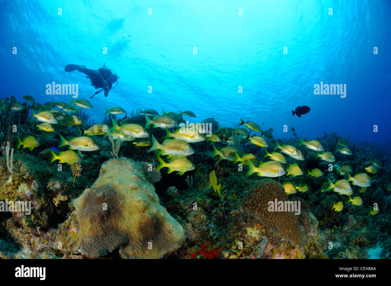 -, Isla De La Juventud, Treasure Island, Kuba, Caribbean Stockfoto