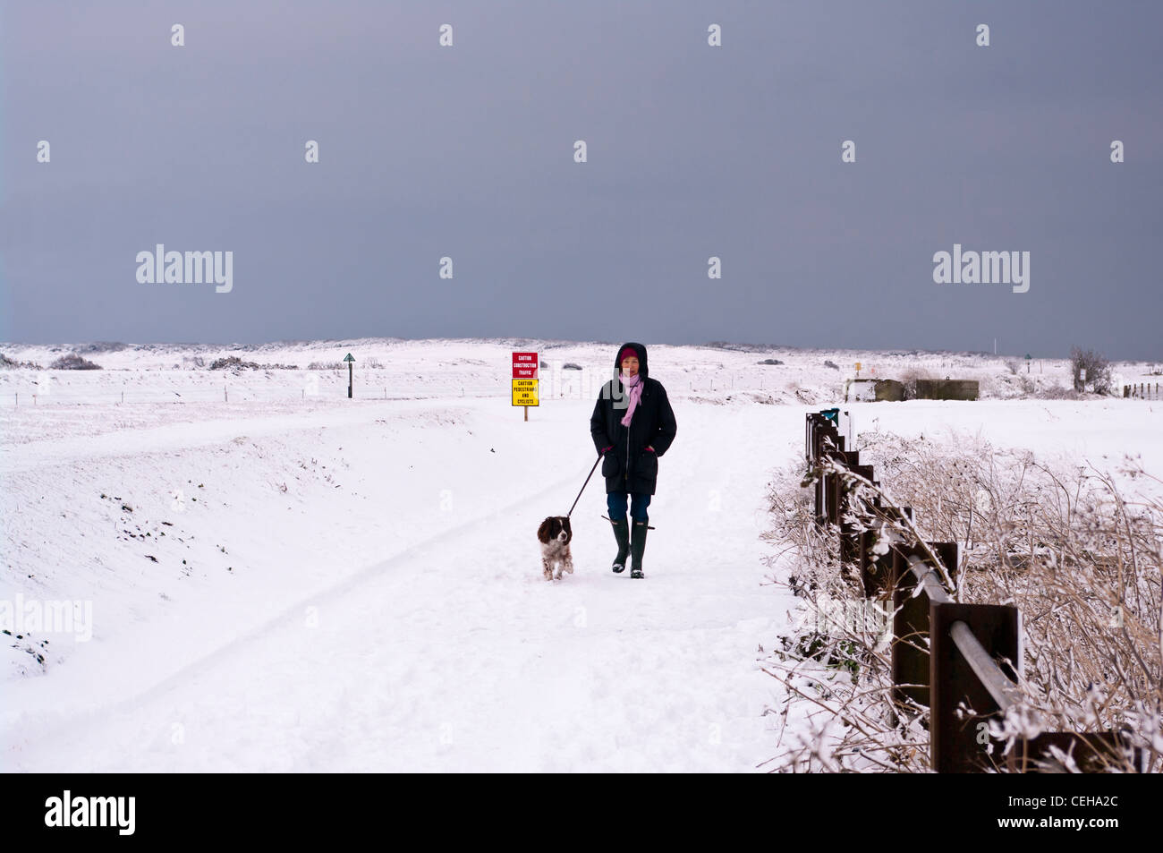 Vorderansicht einer Frau Person gehen, die ihr Hund auf dem Schnee Winter UK Land Stockfoto