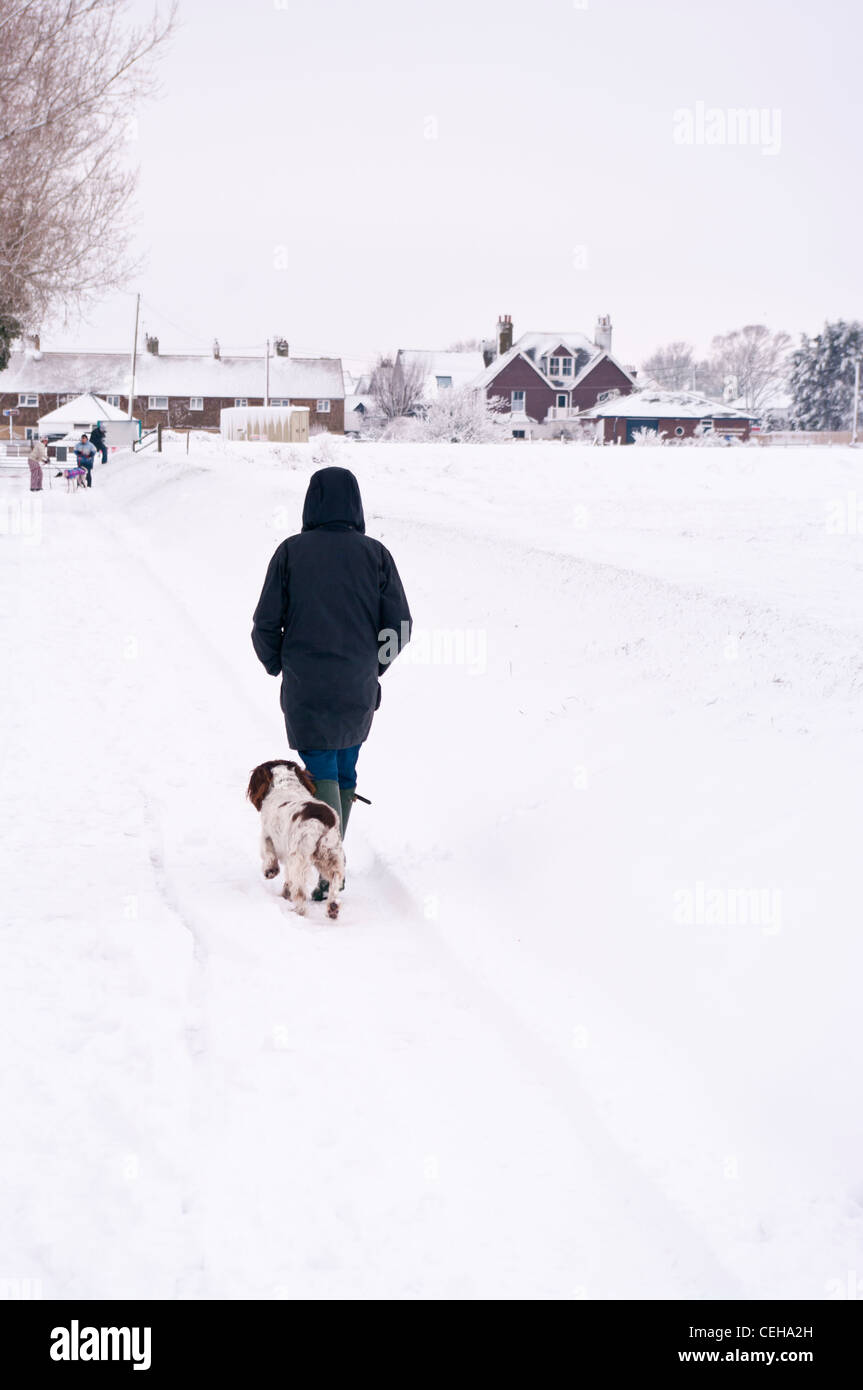 Hinteren Rückansicht einer Frau Person gehen, die ihr Hund In die Snow Winter UK Stockfoto
