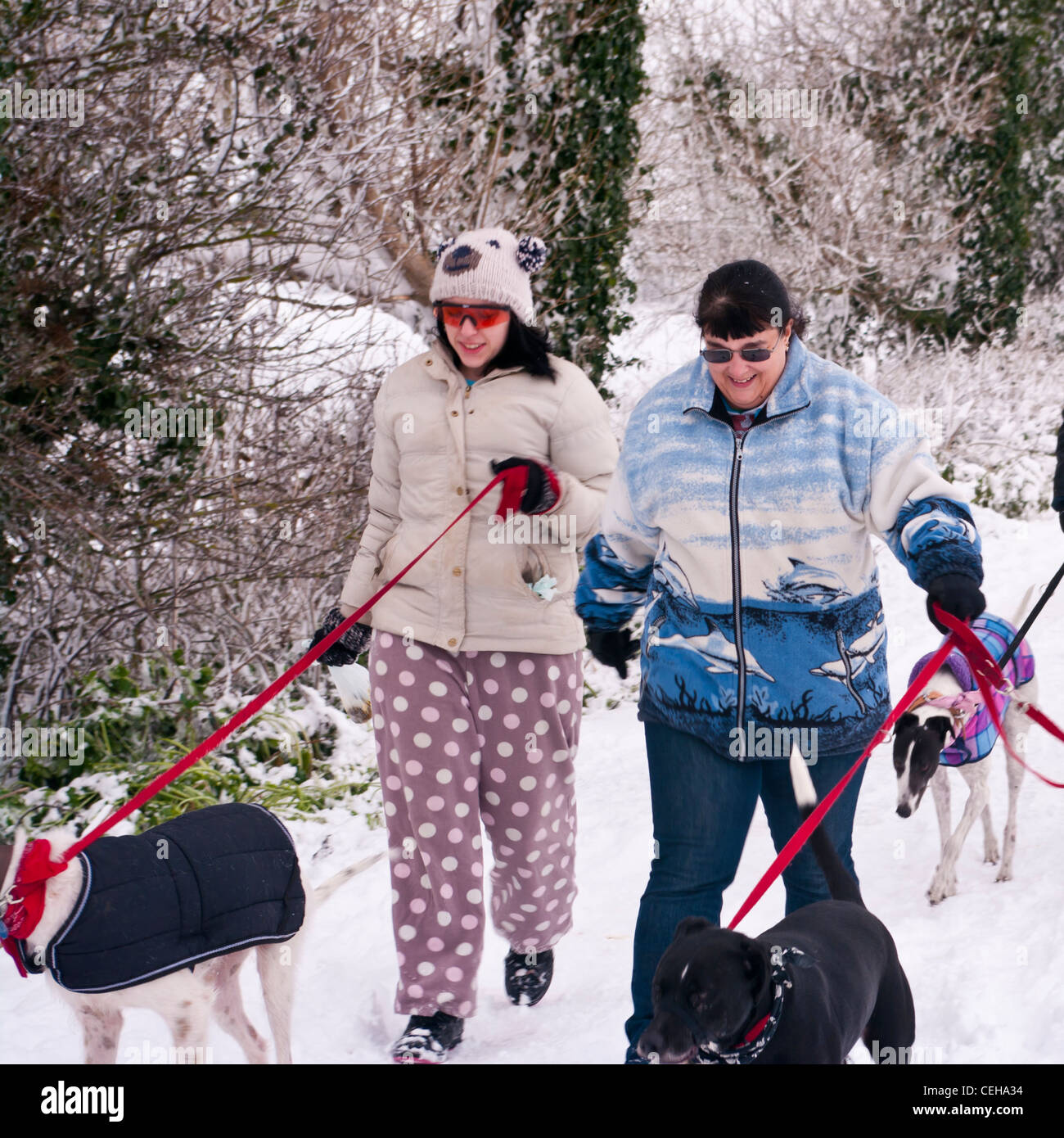 Menschen, die ihre Hunde im Schnee Winter Königreich Stockfoto