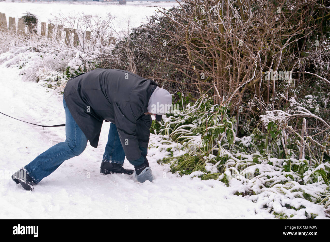 Ein Hundemensch Besitzer Abholung Exkremente Hundekot Bewuchs den Wanderweg aufräumen Stockfoto