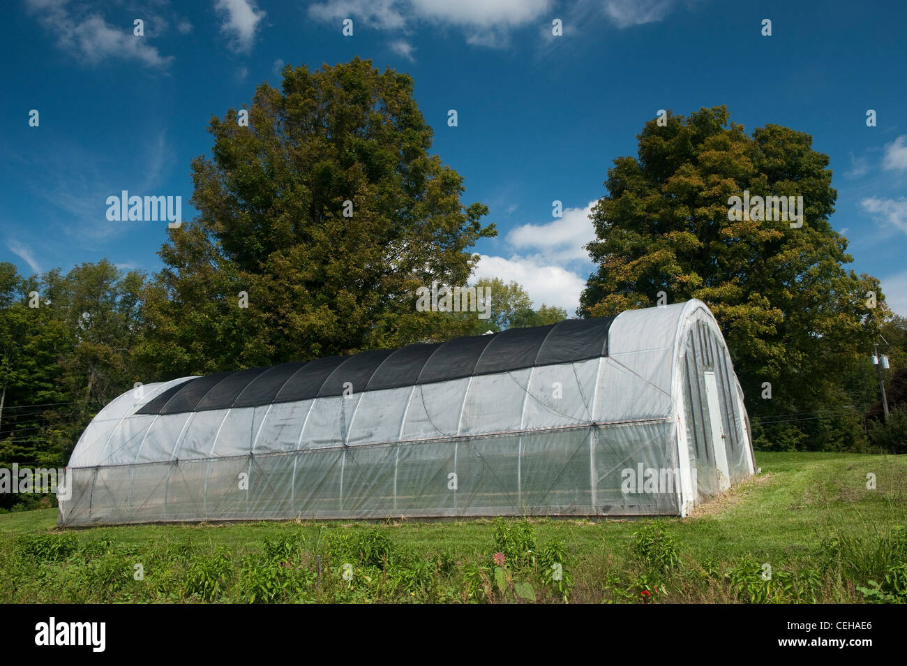 Kunststoff Folientunnel für wachsenden Marktgemüse. Pennsylvania, USA. Stockfoto