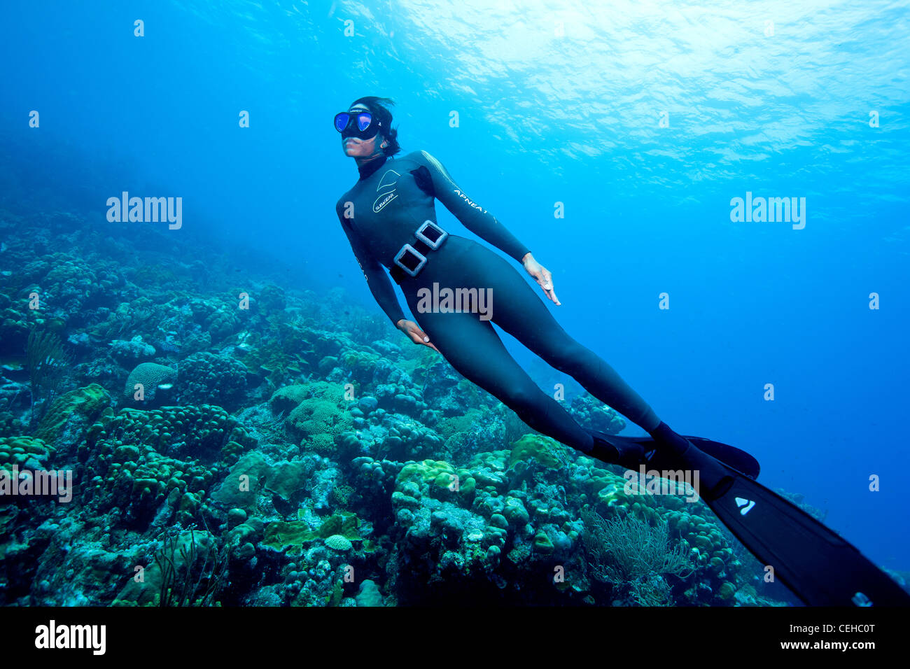 Freediver gleitet durch das Wasser Stockfoto