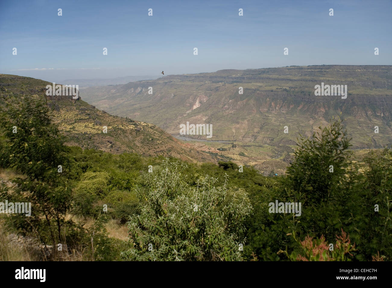 Afrikanischen Rift Valley in der Nähe von Debre Libanos in Äthiopien Stockfoto