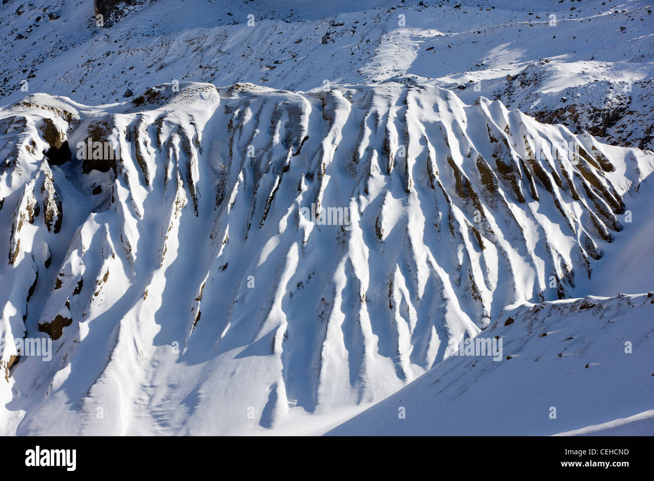 Alt in der Nähe von mir Halde im Winter Monarch Pass, Chaffee County, Colorado, USA Stockfoto