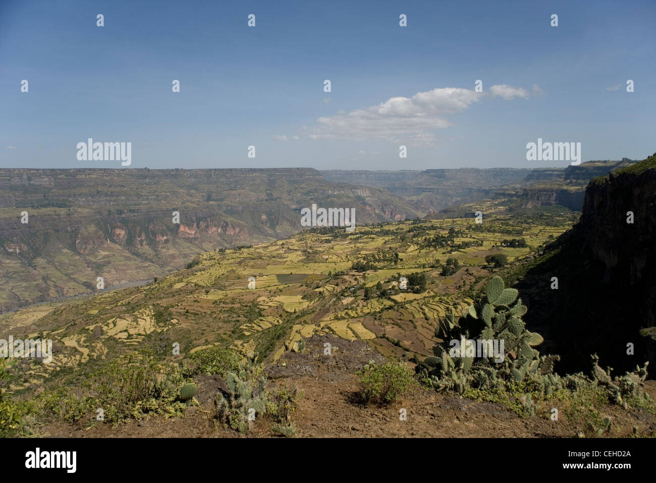 Mit Blick auf den afrikanischen Rift Valley und Bauernhöfen in der Nähe von Debre Libanos in Äthiopien Stockfoto